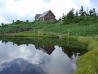 ��m�����B